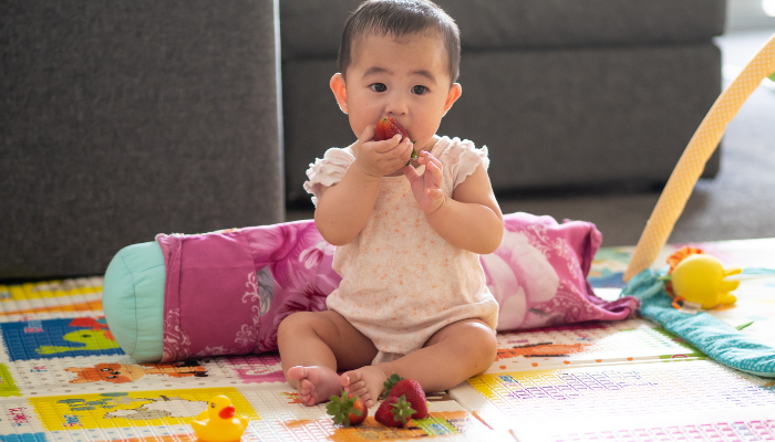 Introdução Alimentar para bebê de 6 meses