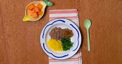 Cardapio para bebê de 8 meses