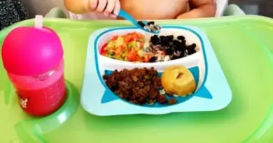 Cardapio bebê 1 ano