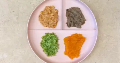 Cardapio para bebe de 6 meses